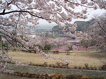 陽だまりの丘公園、風景
