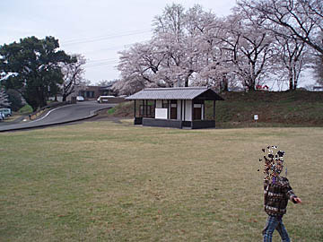 陽だまりの丘公園、風景