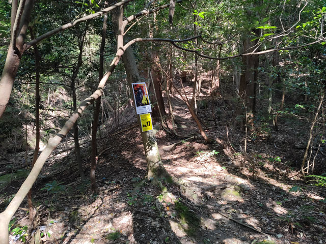 レスキューポイントの黄色い17