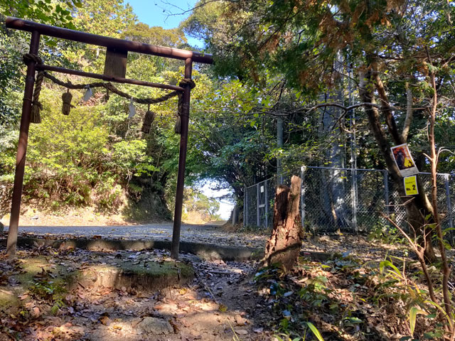 頂上すぐ下の鳥居