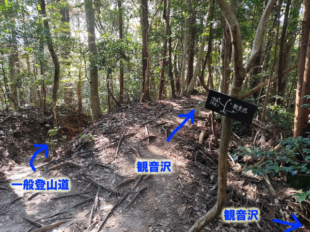 さっきの鳥居すぐ下の分かれ道