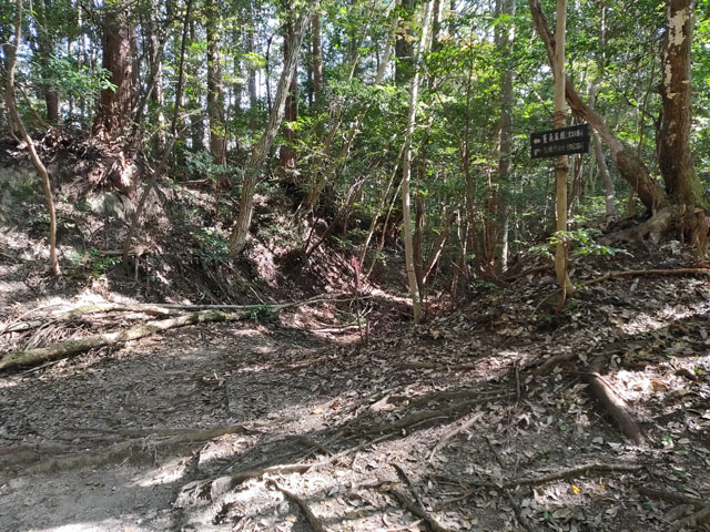 「一般登山道/南東尾根/正現社ルート/上宮」の分かれ道