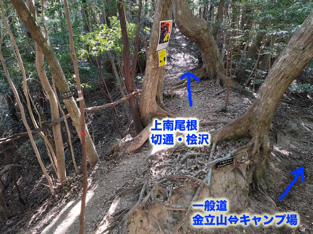 上南尾根とキャンプ場方向の分かれ道