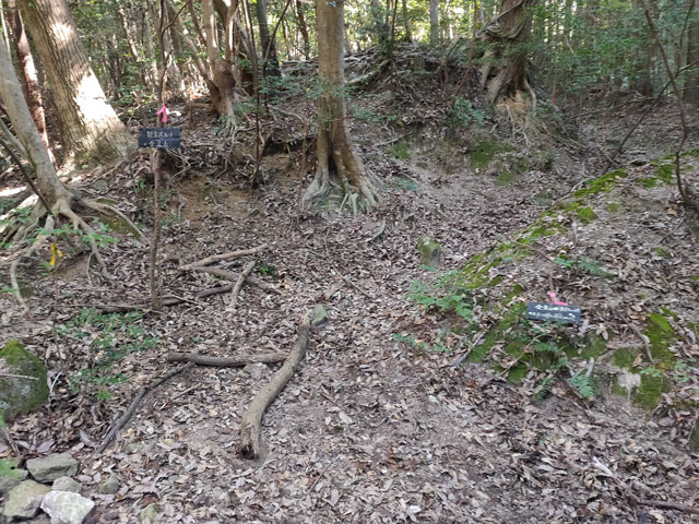 観音沢と一般登山道の分かれ道?
