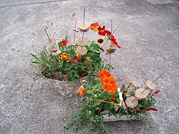 寄せ植え